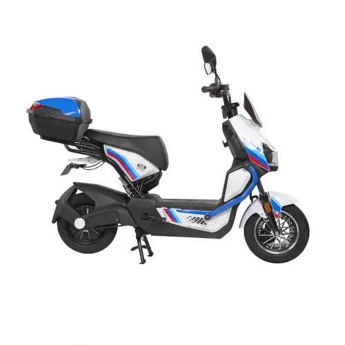 Moto eléctrica Smart T1